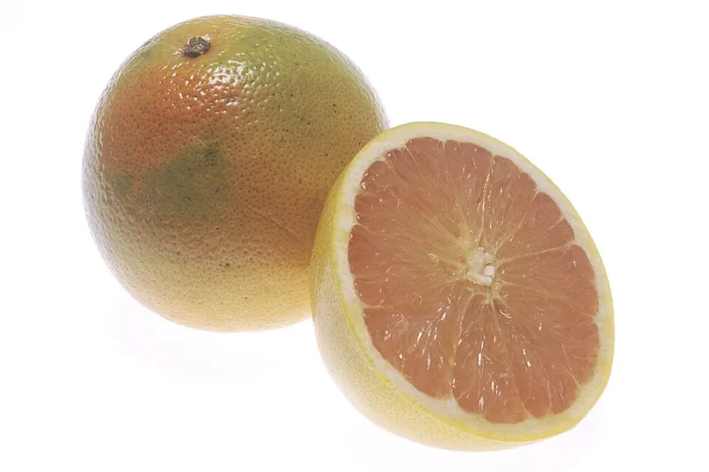 Dinner Interfering With Your Medicine: The Food Pairings Every Patient Should Know